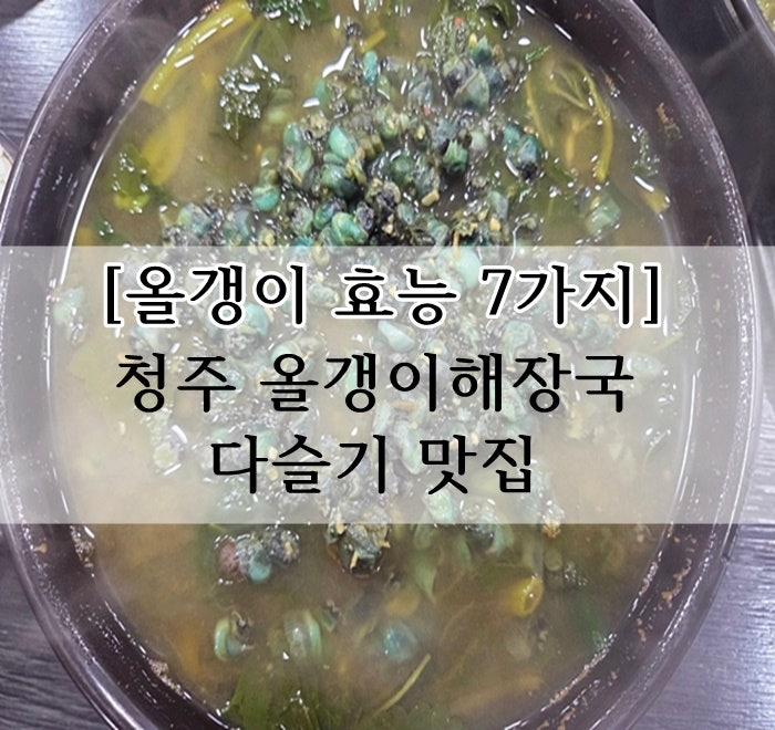 [올갱이 효능 7가지] 청주 올갱이해장국 다슬기 맛집 후기