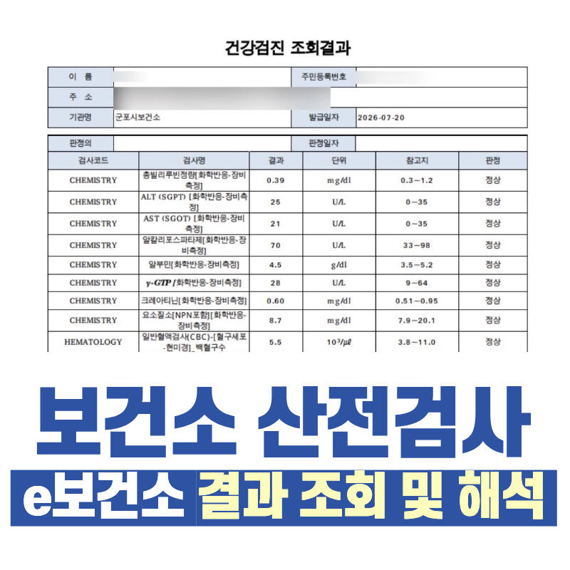 보건소 무료 산전검사 결과 확인 방법 e보건소 조회 및 결과 해석