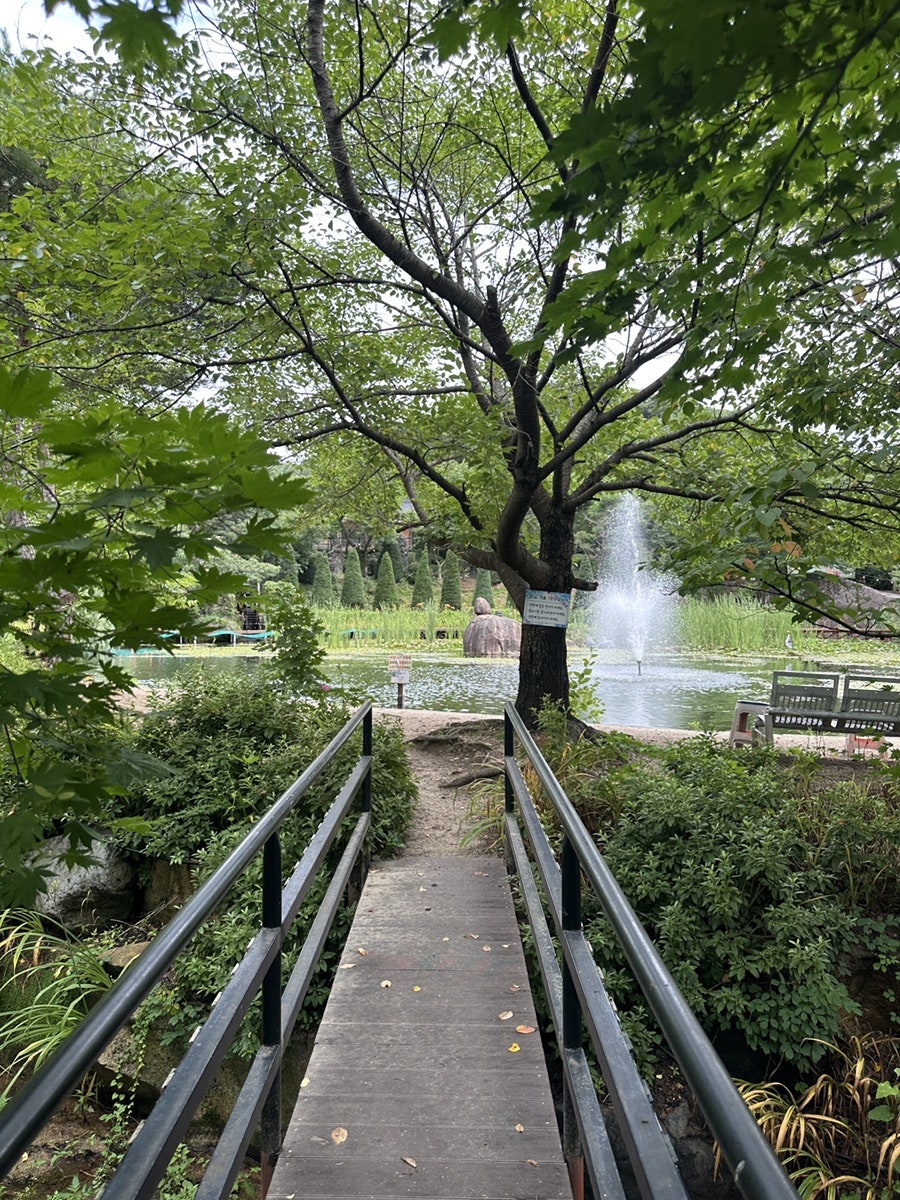 벚골도토리막국수 사진 5