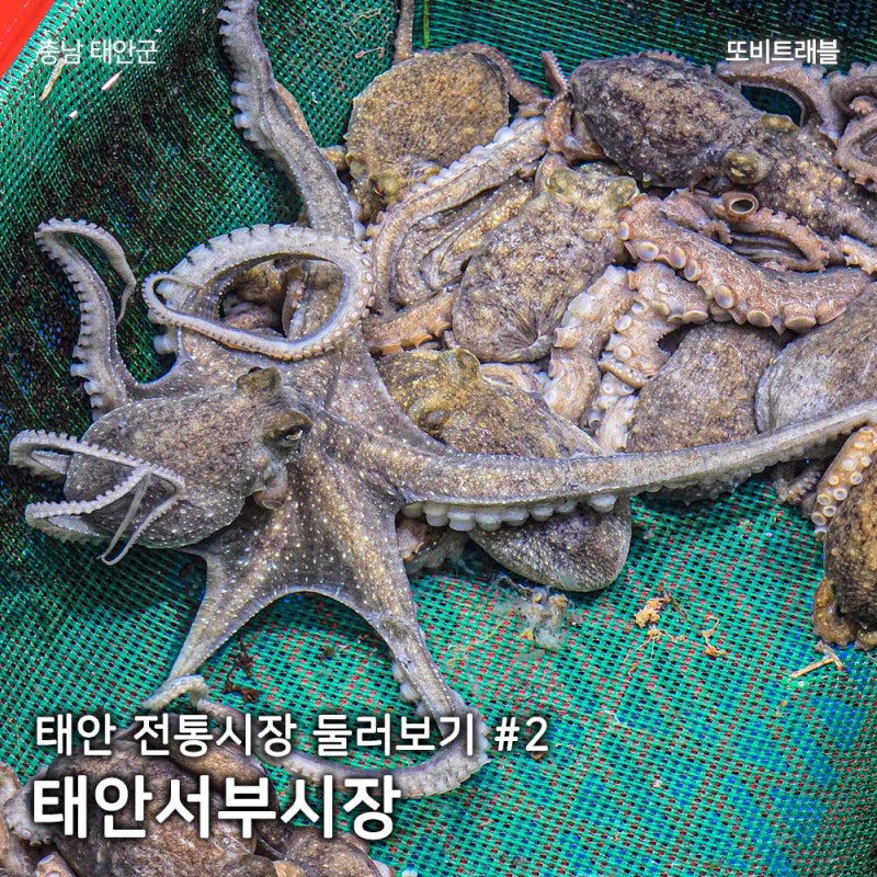 태안여행 전통시장 둘러보기 태안서부시장