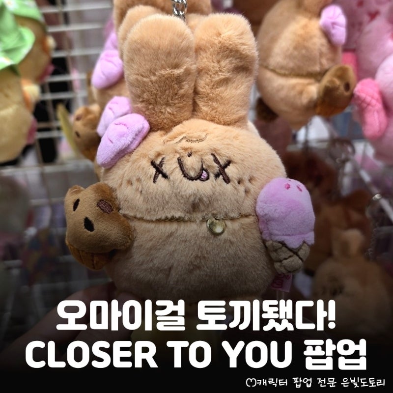 오마이걸과 모모이 토끼의 만남! 홍대 AK플라자 팝업스토어 정....