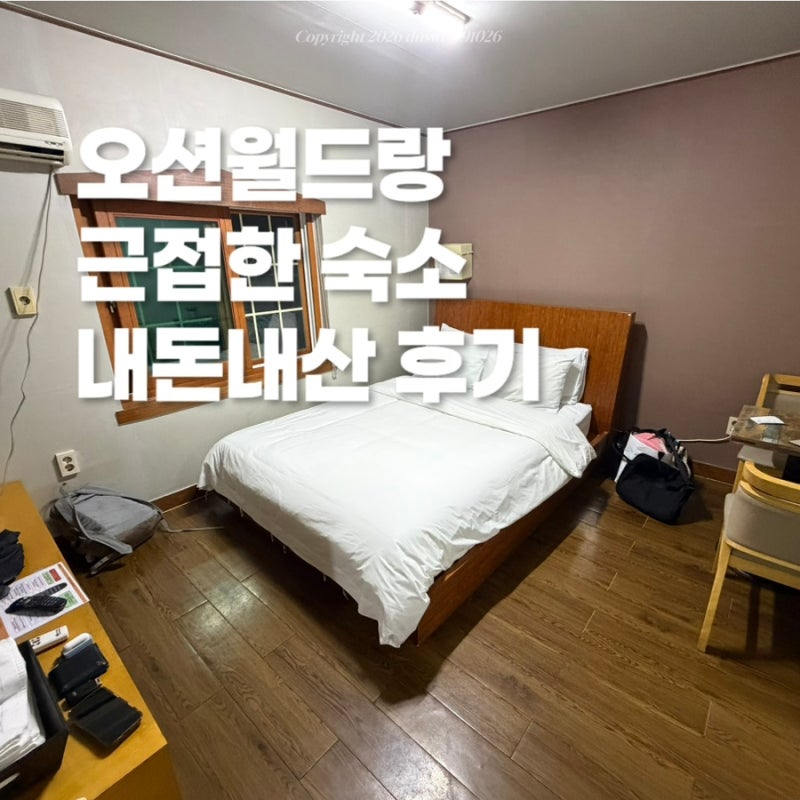 홍천 숙소 | 오션월드랑 가까운 가성비 숙소 몰디브모텔