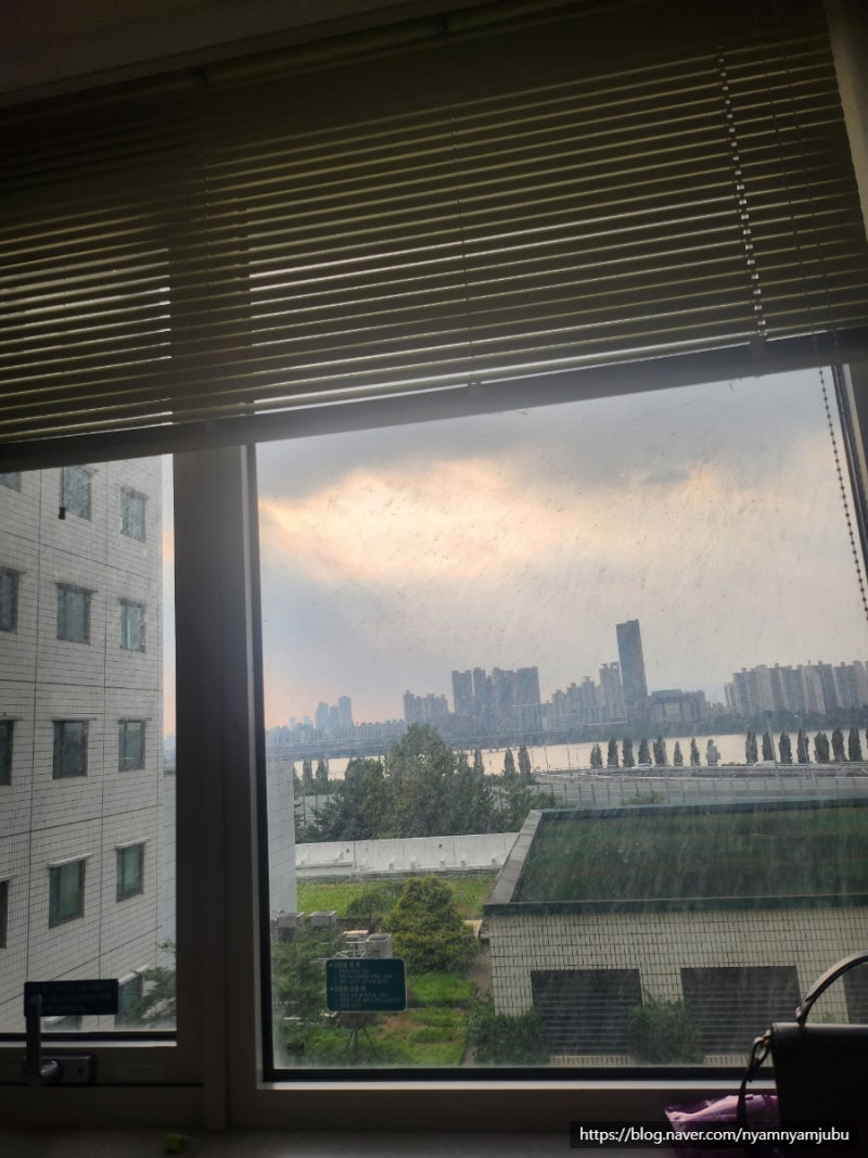 4. 30대 갑상선암 _ 서울아산병원 입원 후기(김원웅 교수님 수술), 갑상선암 수술, 입원 준비물