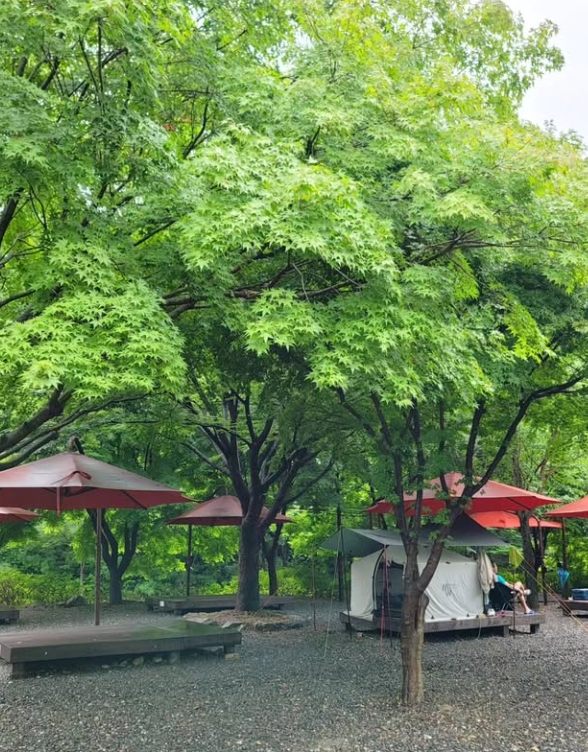 장령산자연휴양림 야영장 사진 3