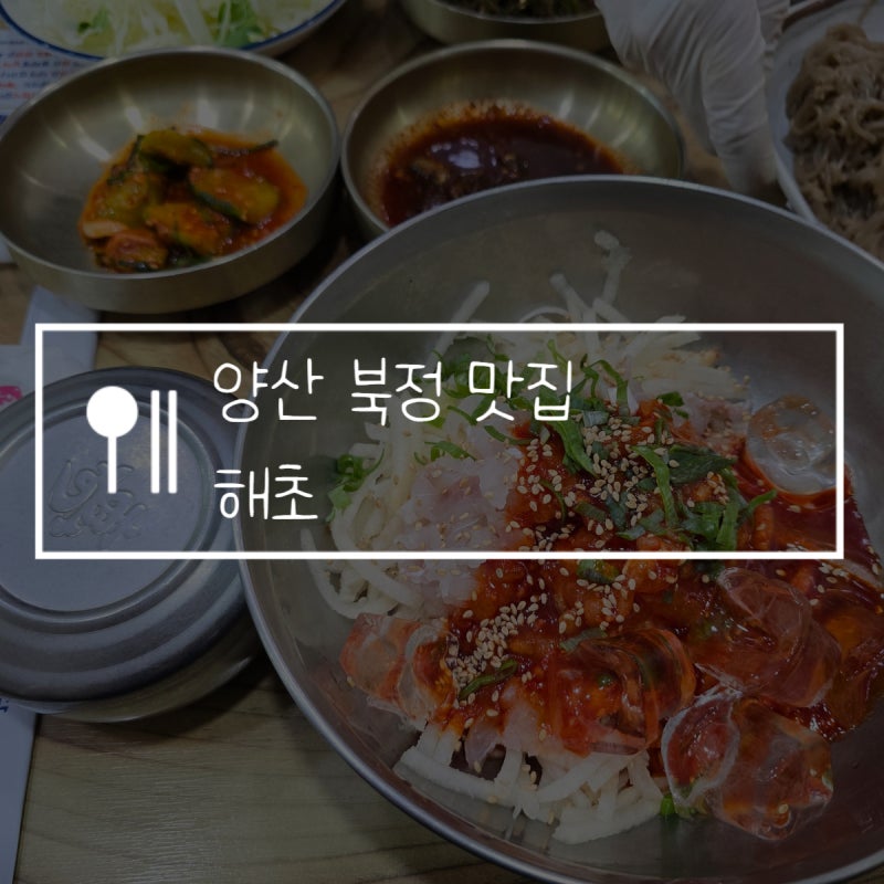 양산 물회 맛집 해초, 북정 현지인 추천 주말 웨이팅 후기