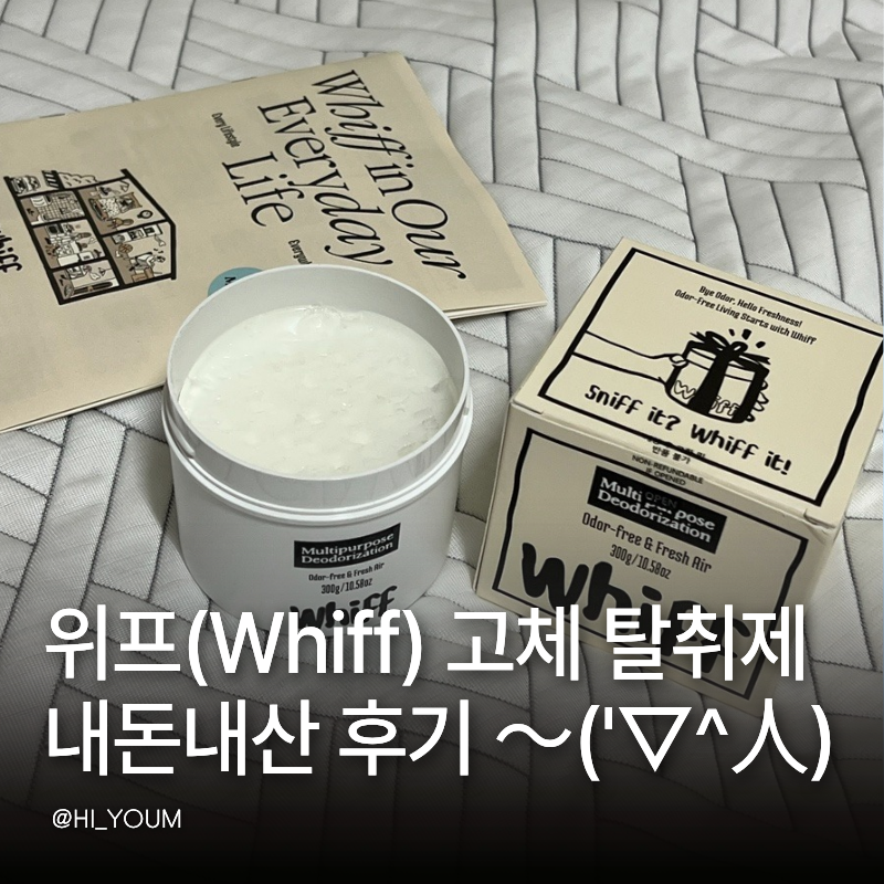 위프 고체 탈취제 내돈내산 후기 블랙 화이트 위프 Whiff 악취제거 향 추천