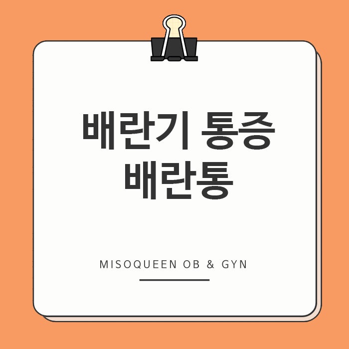 여의도산부인과 배란기에 느껴지는 통증, 배란통 증상의 시기
