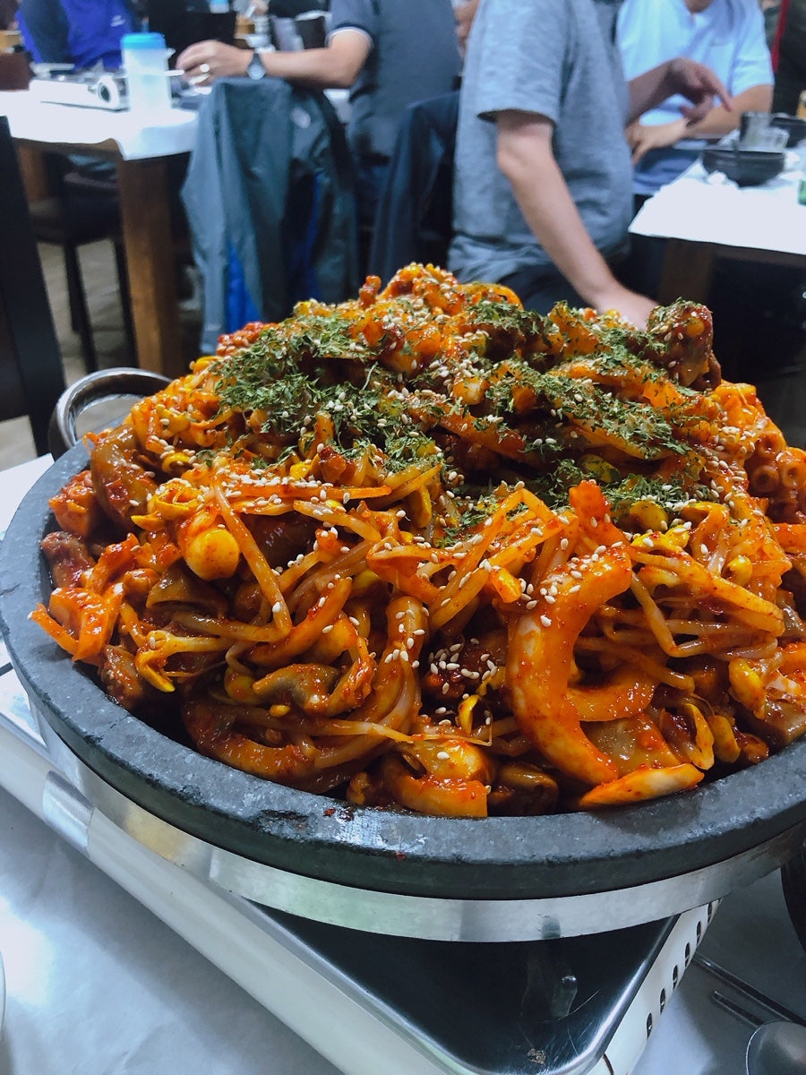 토박이 사진 5