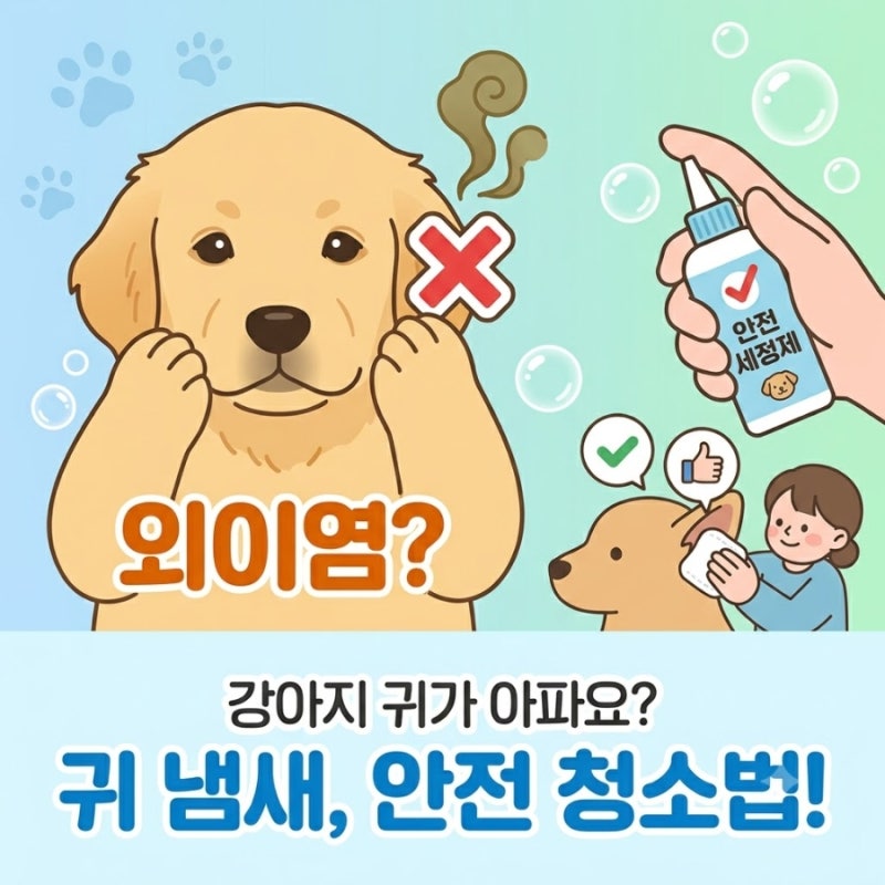 강아지 귀 냄새가 심한 이유｜외이염 의심 증상과 안전한 귀 청소법