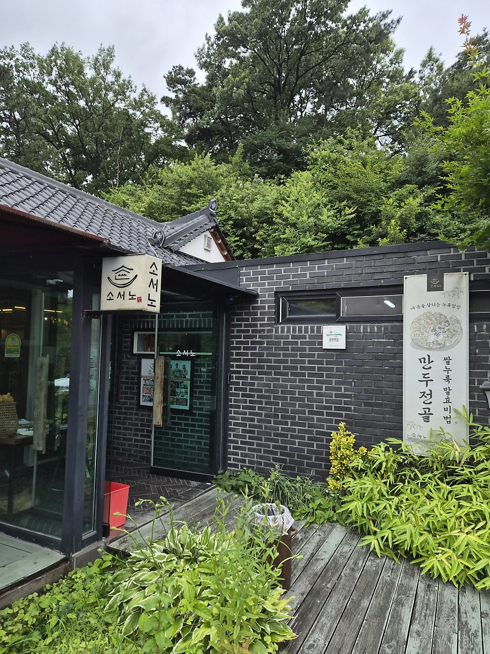 다솜차반 소서노 사진 1