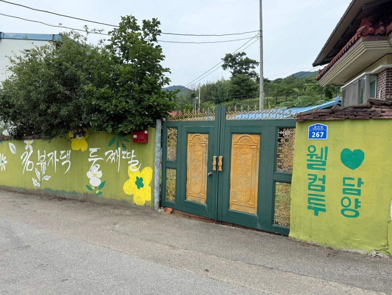 [전남/담양] 김부자댁 둘째딸: 200평 촌캉스 독채숙소 솔직후기