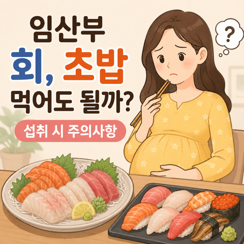 임산부 회, 초밥 먹어도 될까 + 주의사항
