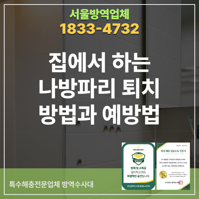 집에서 하는 나방파리퇴치 방법과 예방법