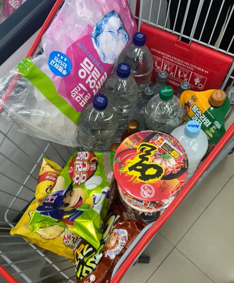 가평 빠지 물놀이 내 돈 내산 꿀팁 총정리｜리버팰리스 숙소 패키지·바베큐·놀이 기구 솔직....