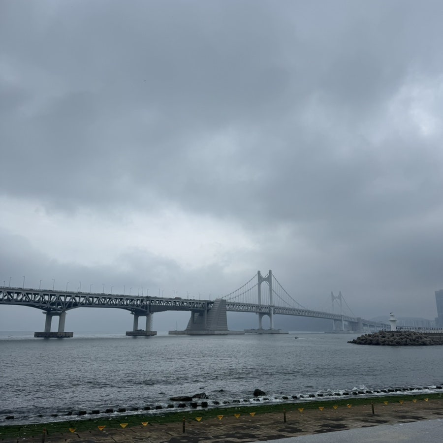 신억숯불갈비 사진 2