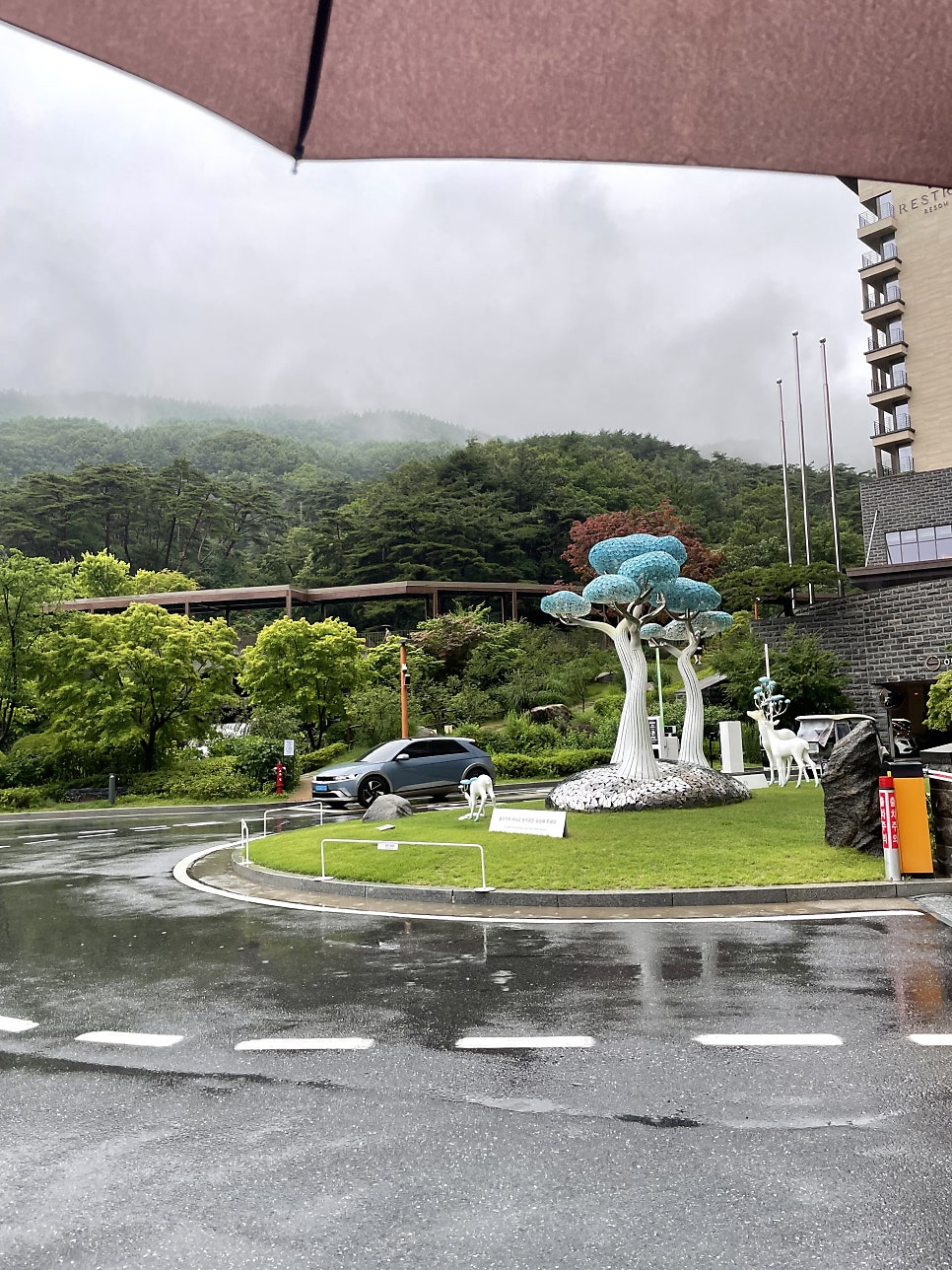 박달재한우촌 사진 1