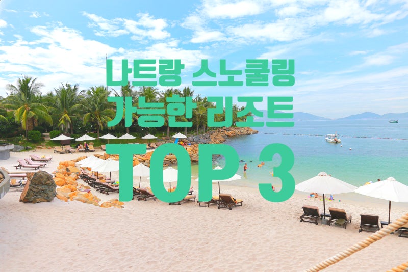 나트랑 스노쿨링 리조트 프라이빗 비치 바다 수영 장비 대여 3곳