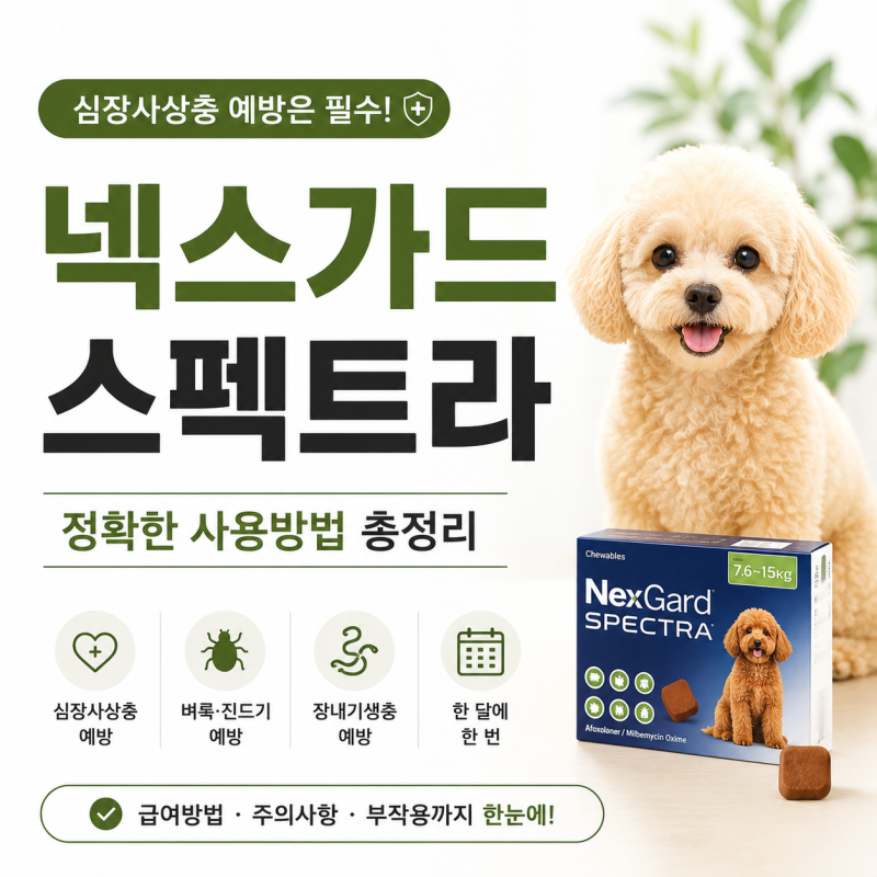 강아지 심장사상충약 넥스가드 스펙트라, 올바른 급여 방법과 주의사항