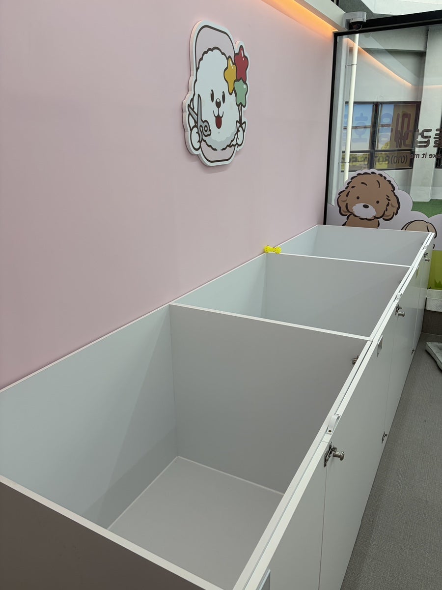 아따멍멍 사진 5
