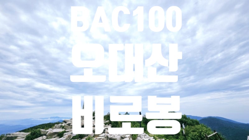 오대산 비로봉 최단코스｜다람쥐동산부터 월정사 전나무숲길까지