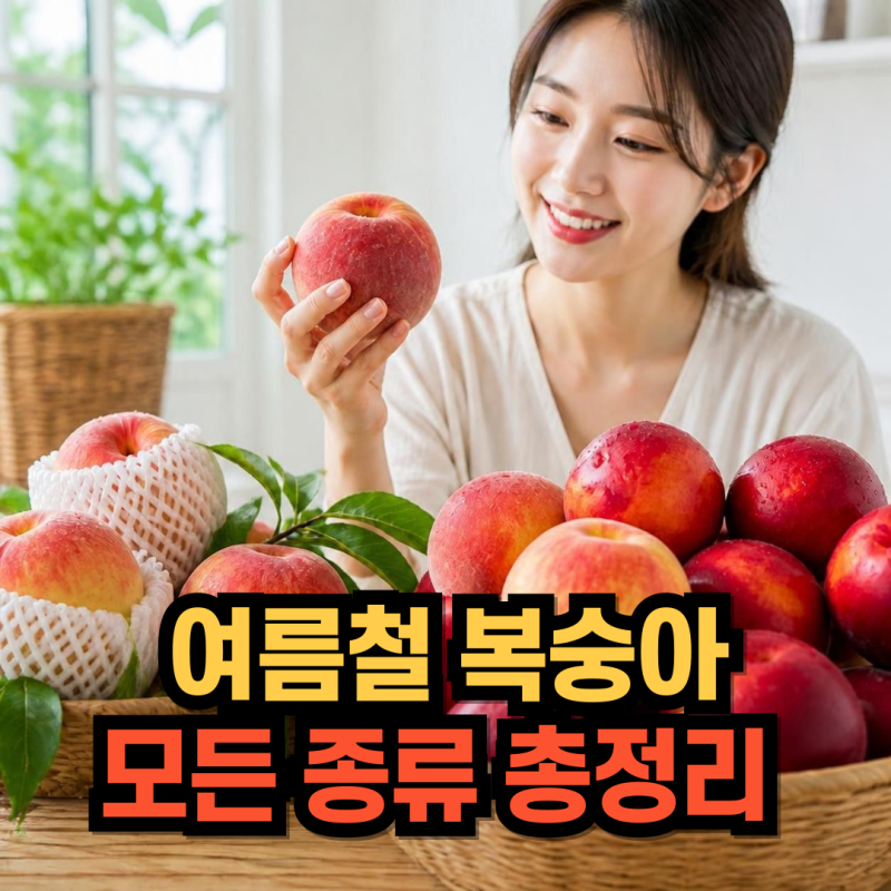 여름 제철 복숭아 고르기! 신비복숭아부터 납작복숭아 대극천 복숭아까지 식감별 종류별 총....