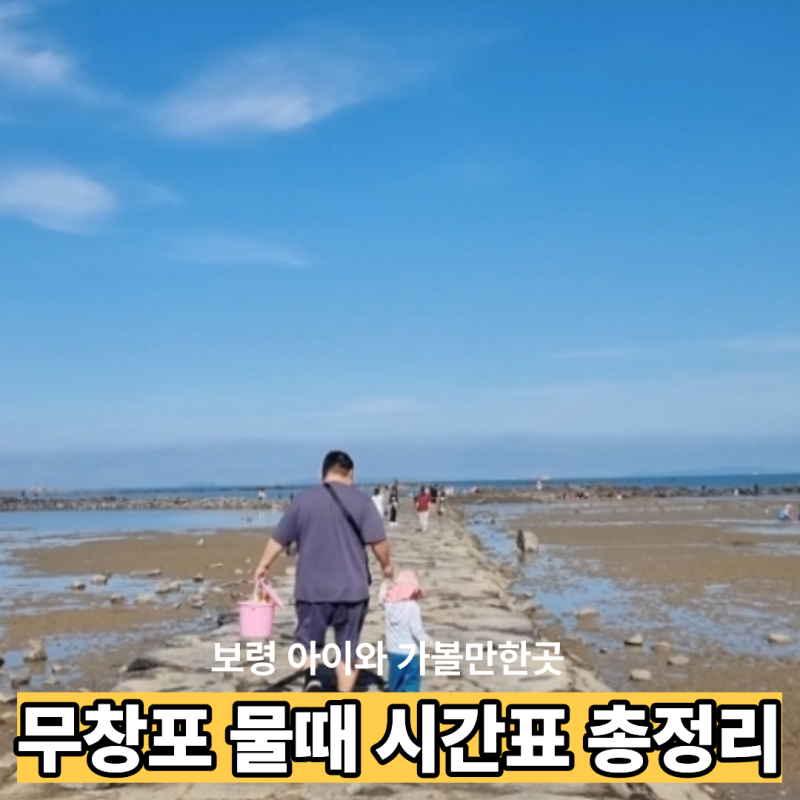 무창포 물때 시간표 총정리｜갯벌체험·신비의 바닷길 언제 열릴까?
