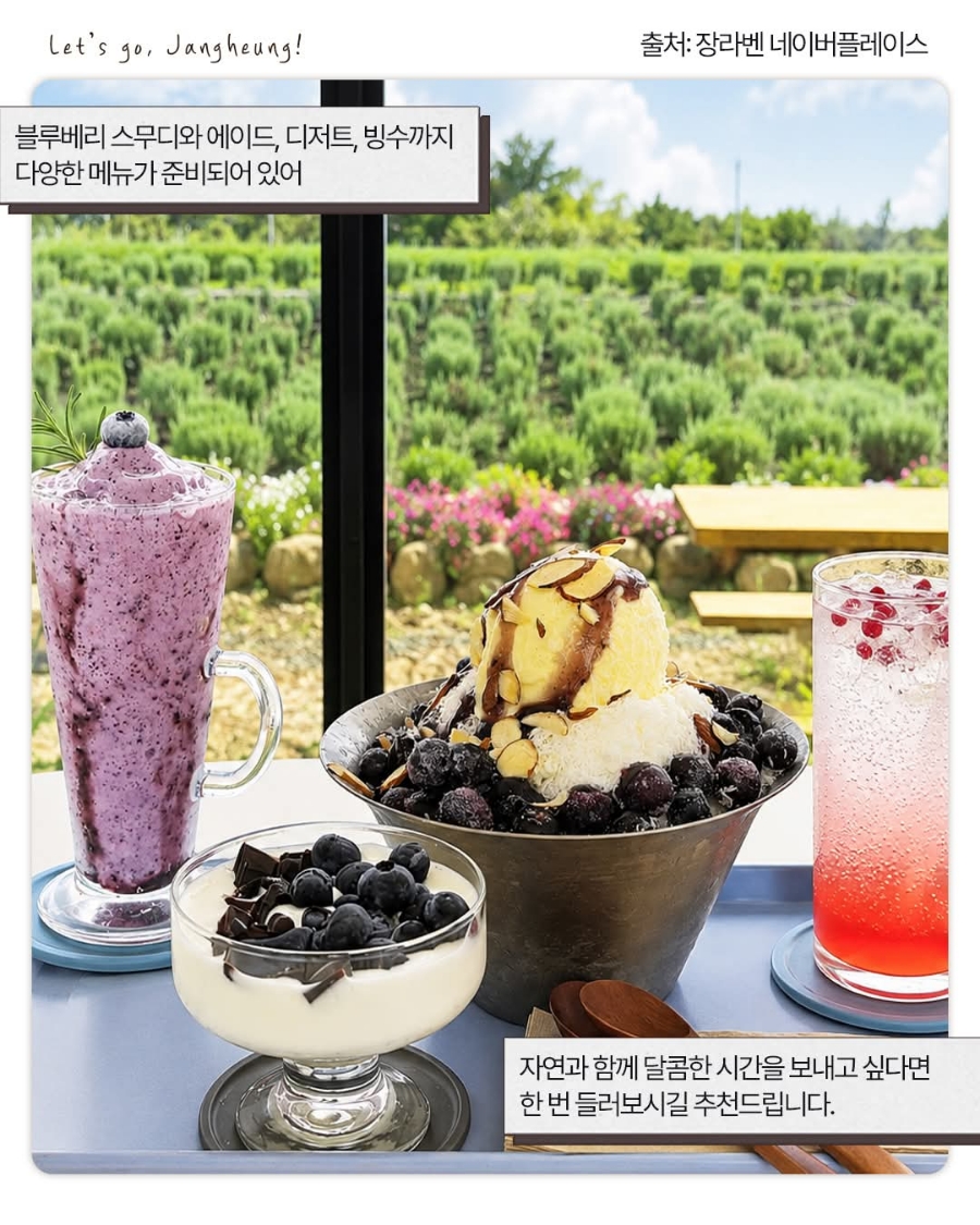 장라벤 사진 6