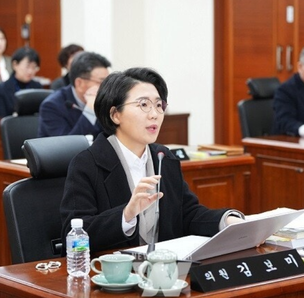 김보미 의원 프로필 나이 민주당 대표 출마 강진군 "40~50년 독점 안 돼"