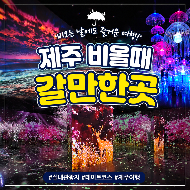 제주 비올때 갈만한곳 제주도 비올때 가볼만한곳 BEST6