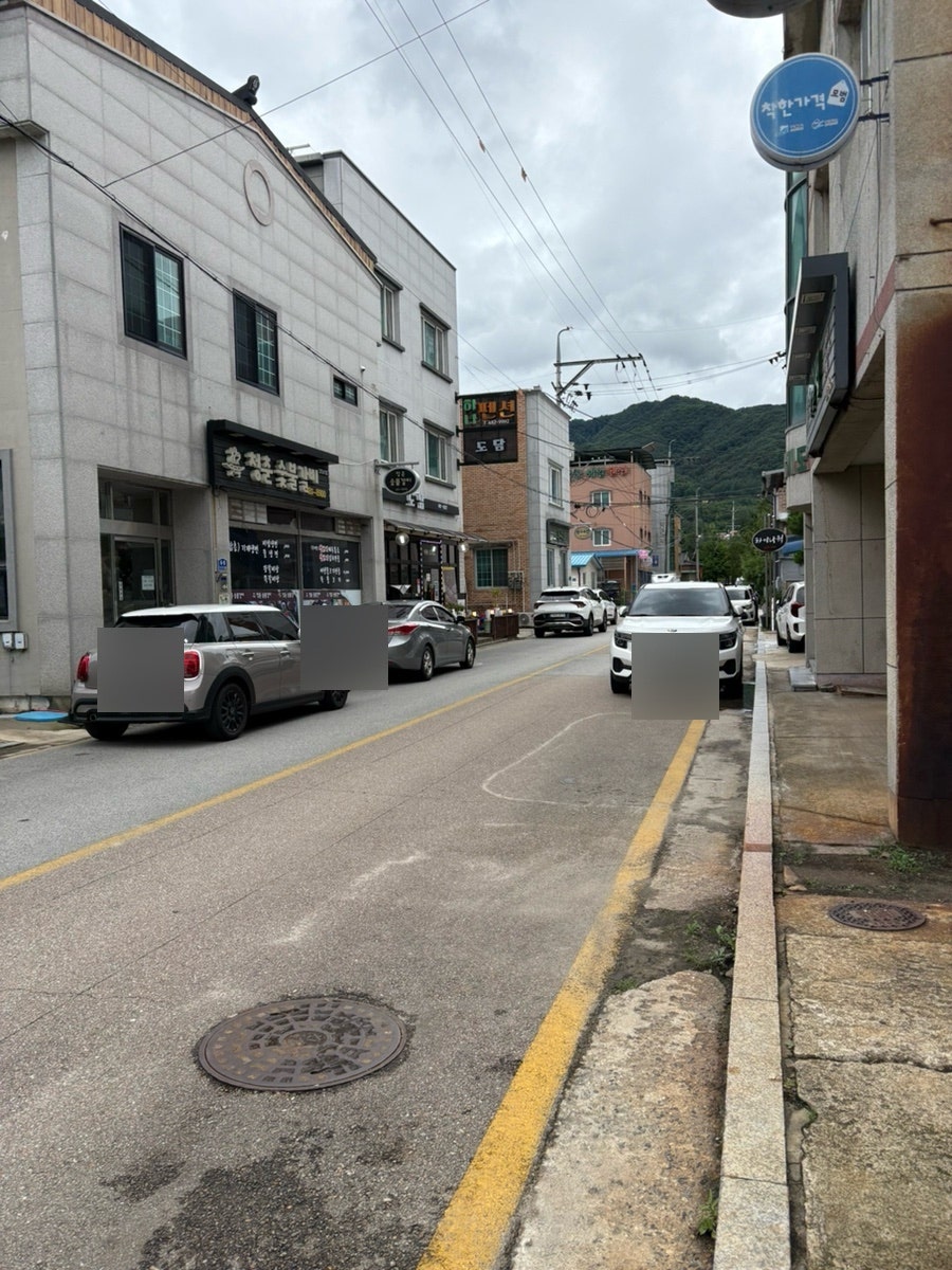 청참치 사진 2