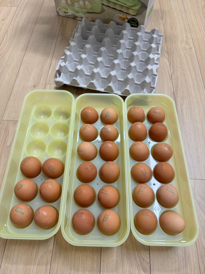 계란 30구를 냉장고에 세균 걱정 없이 보관하는 법 | 코스트코 락앤락 스마트킵 프레쉬 계란 ....