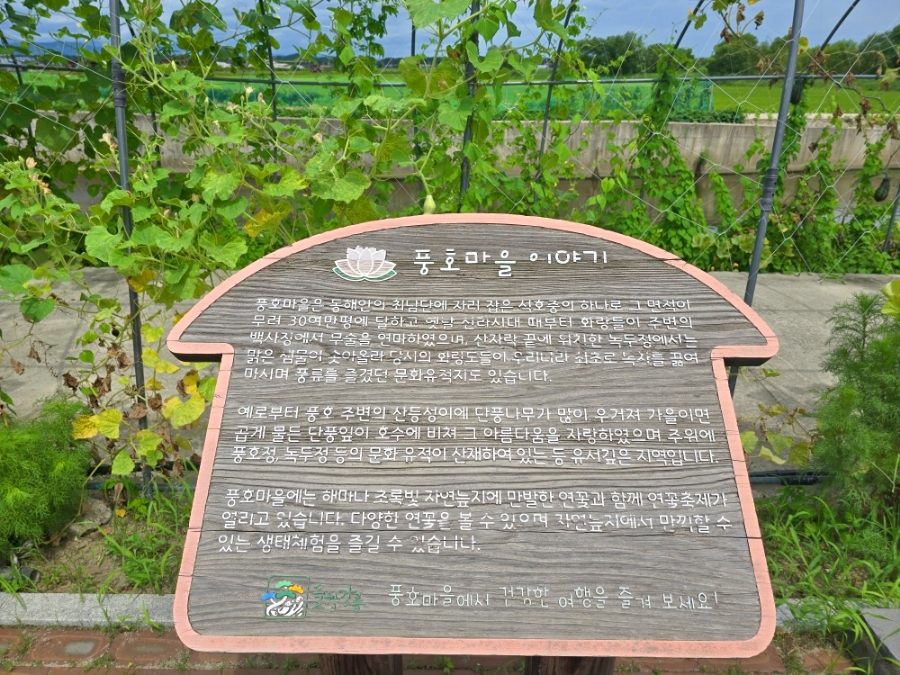 염전횟집 사진 5