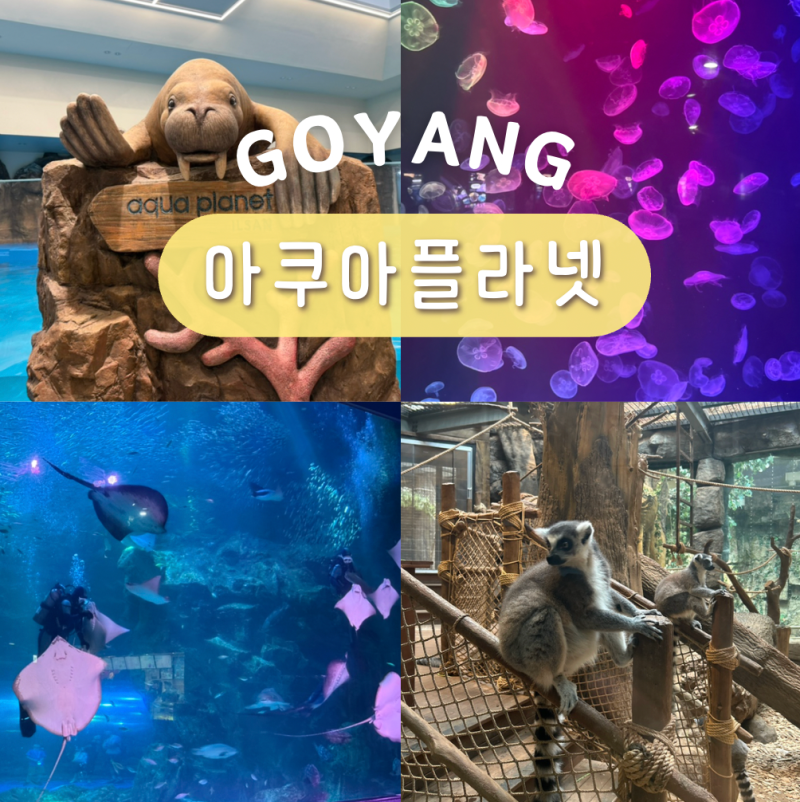경기도 주말 나들이 일산 아이와 가볼만한곳 한화 아쿠아플라넷 일산 주차 할인