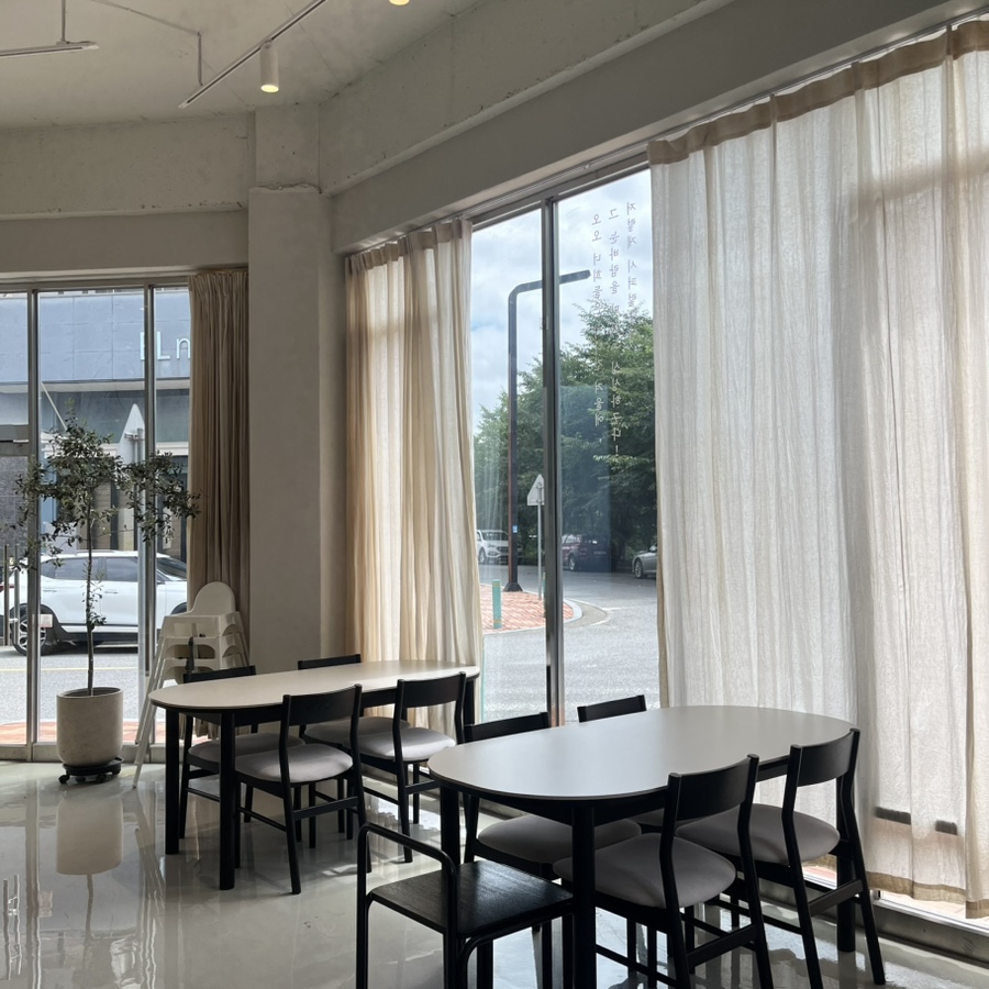 상록수 사진 2
