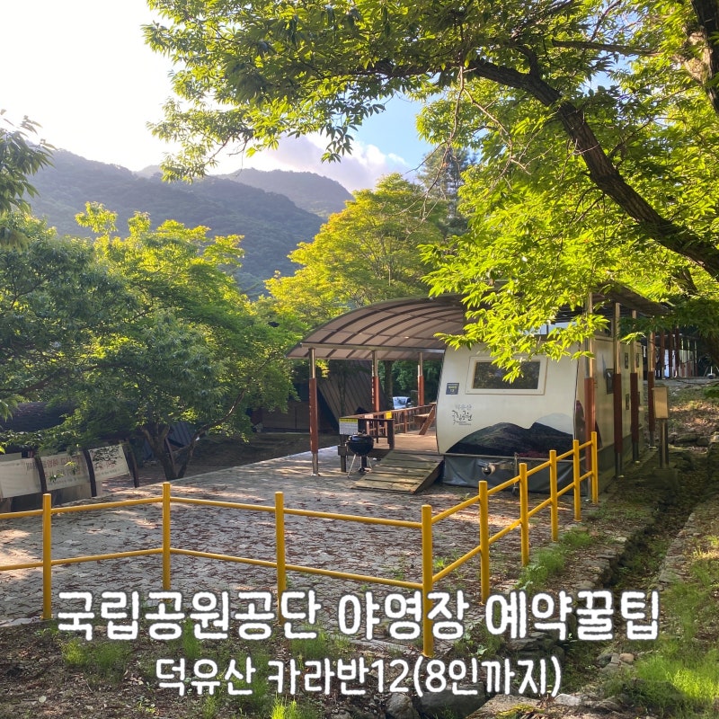 국립공원공단야영장 정보&예약 꿀팁(덕유산 덕유대3 카라반12)