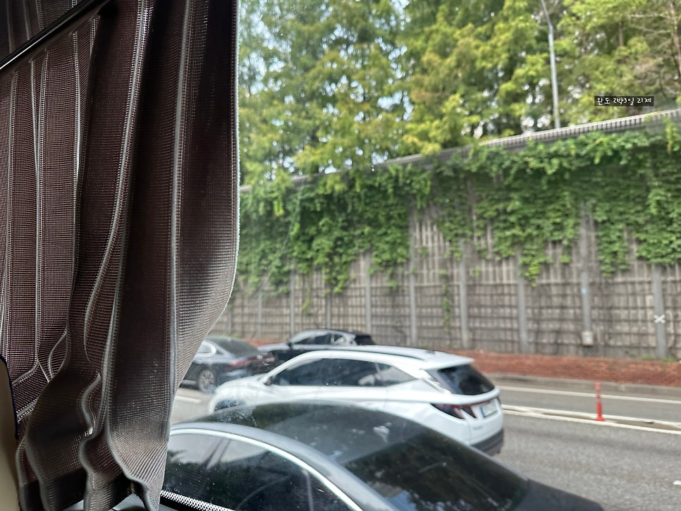 제주흑돼지 사진 2