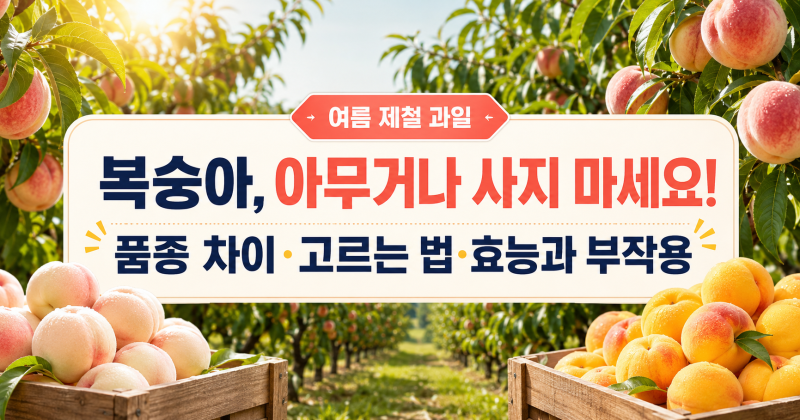 여름체절과일 복숭아 품종별 차이점과 맛있는 복숭아 고르는법, 효능과부작용