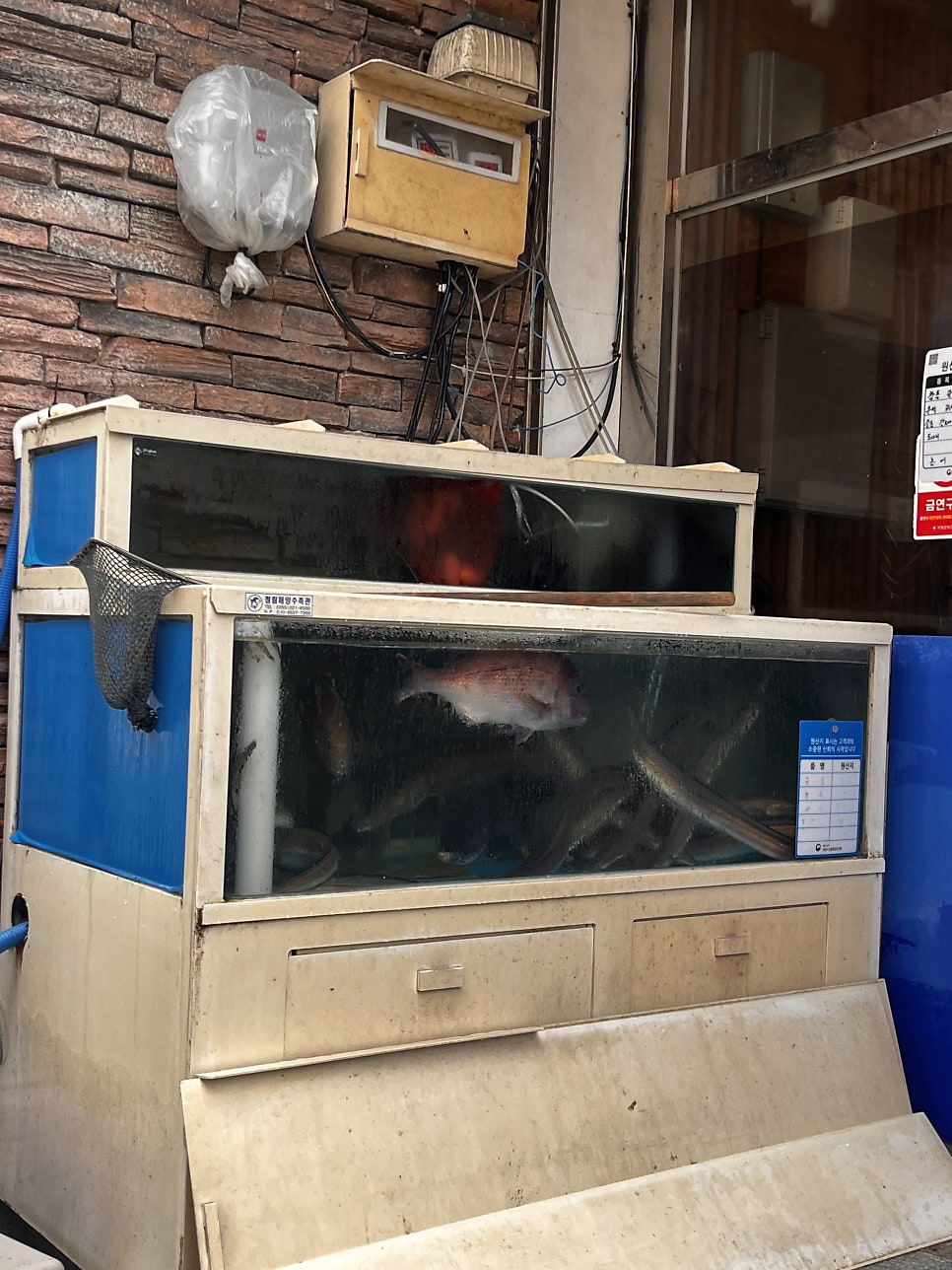 통영수산 사진 2
