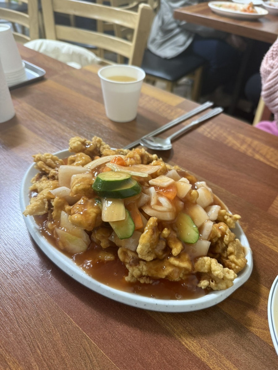 토박이 사진 4