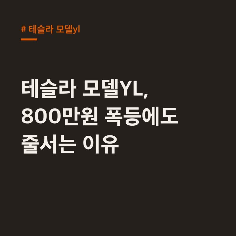 테슬라 모델YL, 800만원 폭등에도 줄서는 이유