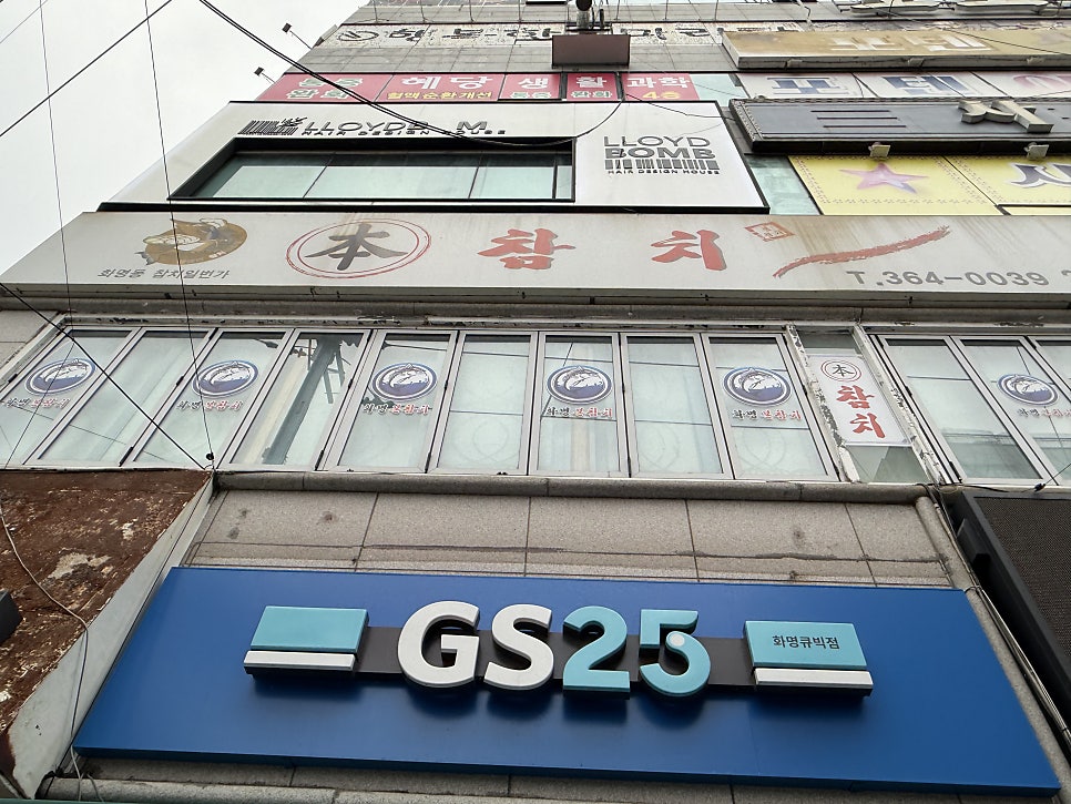 본참치 사진 1