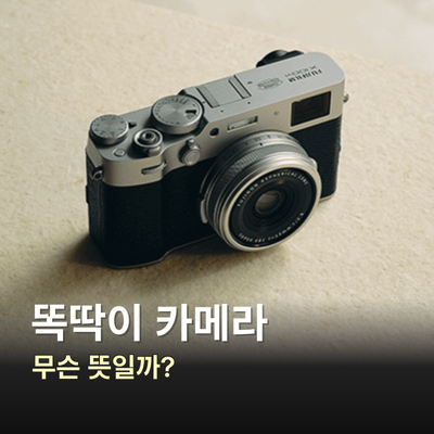똑딱이 카메라 뜻, 컴팩트 카메라 같은 말일까