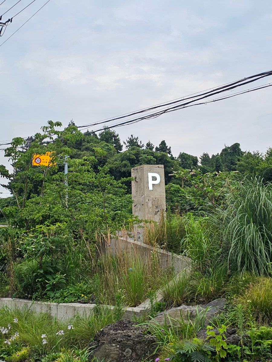 김선문 사진 7