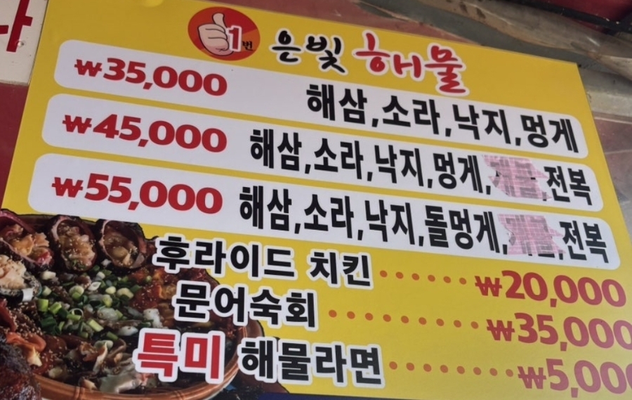 은빛해물 사진 4