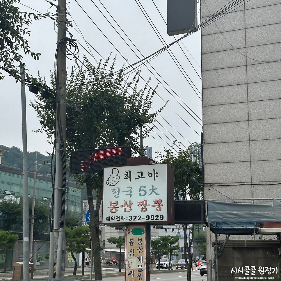 봉산짬뽕 사진 2