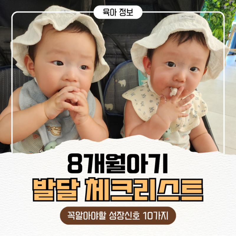 8개월 아기 발달 체크! 꼭 알아야 할 성장 신호 10가지