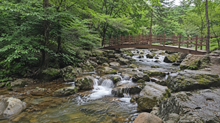 오도산 야영장 사진 2