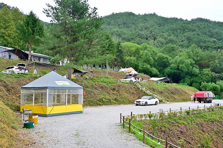 라온캠핑장 사진 1