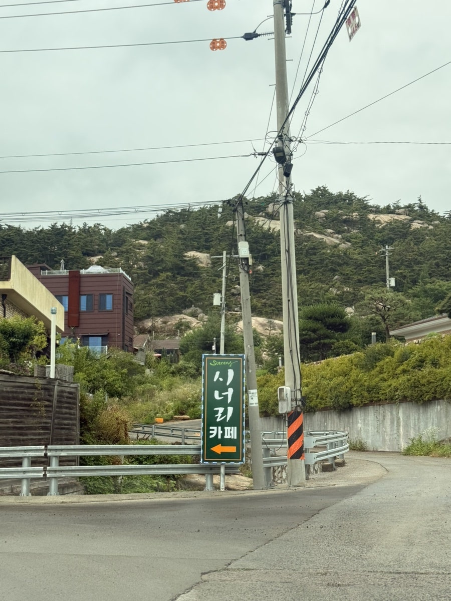 시너리 사진 3