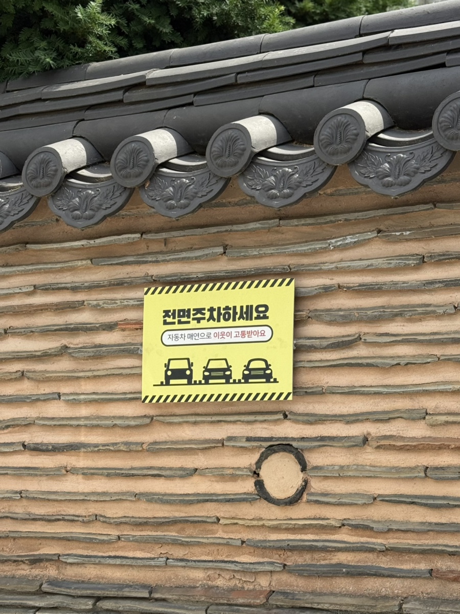 안토누찌 사진 2
